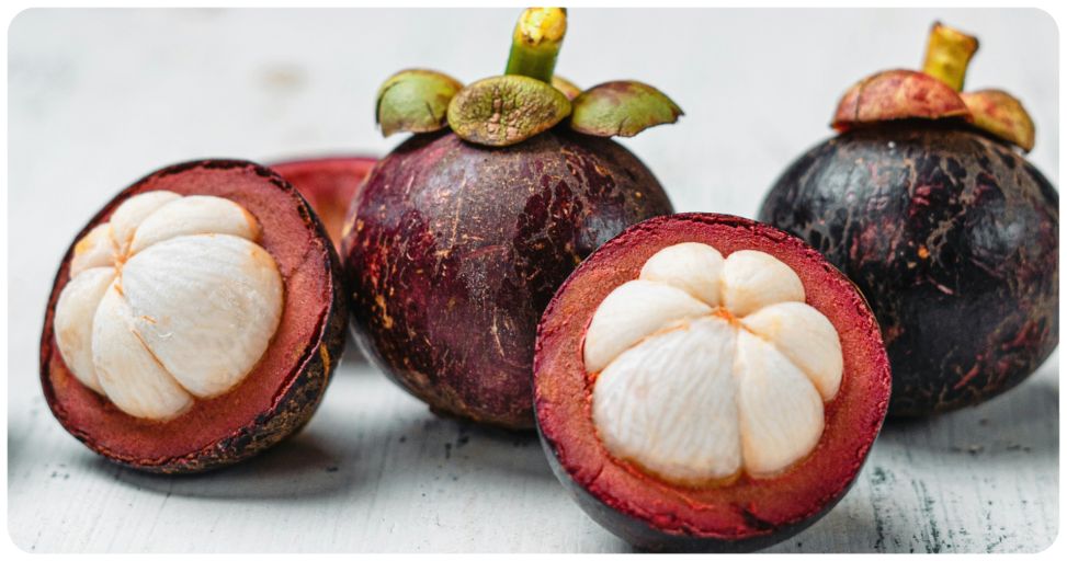 mangoustan quel gout